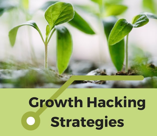 GrowthHackingStrategies