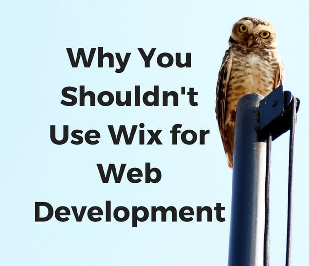 WhyYouShouldn'tUseWixforWebDevelopment