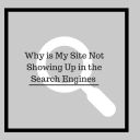 Why Is My Site Not Showing Up In The Search Engines (1)