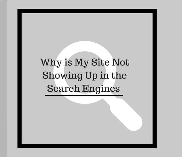 Why Is My Site Not Showing Up In The Search Engines (1)