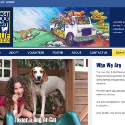 Lost Dog & Cat Rescue Foundation