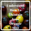 Understand How To Maintain Your Organic SEO 2018
