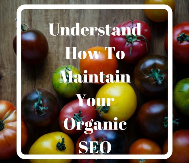 Understand How To Maintain Your Organic SEO 2018