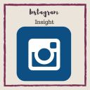 Instagram Insight