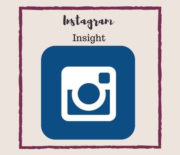 Instagram Insight