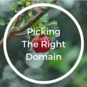 Picking The Right Domain