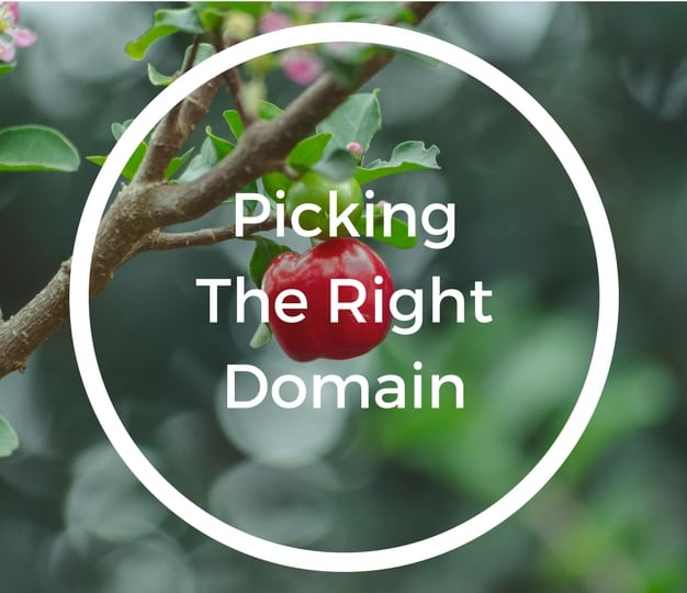 Picking The Right Domain