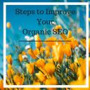 Steps To Improve Your Organic SEO