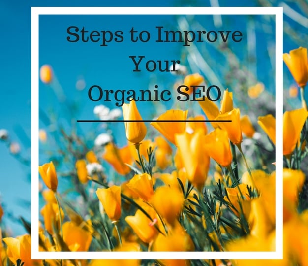 Steps To Improve Your Organic SEO