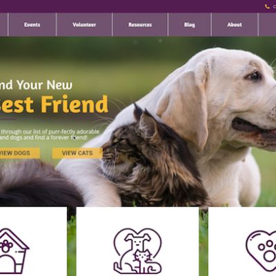 Partnership For Animal Welfare