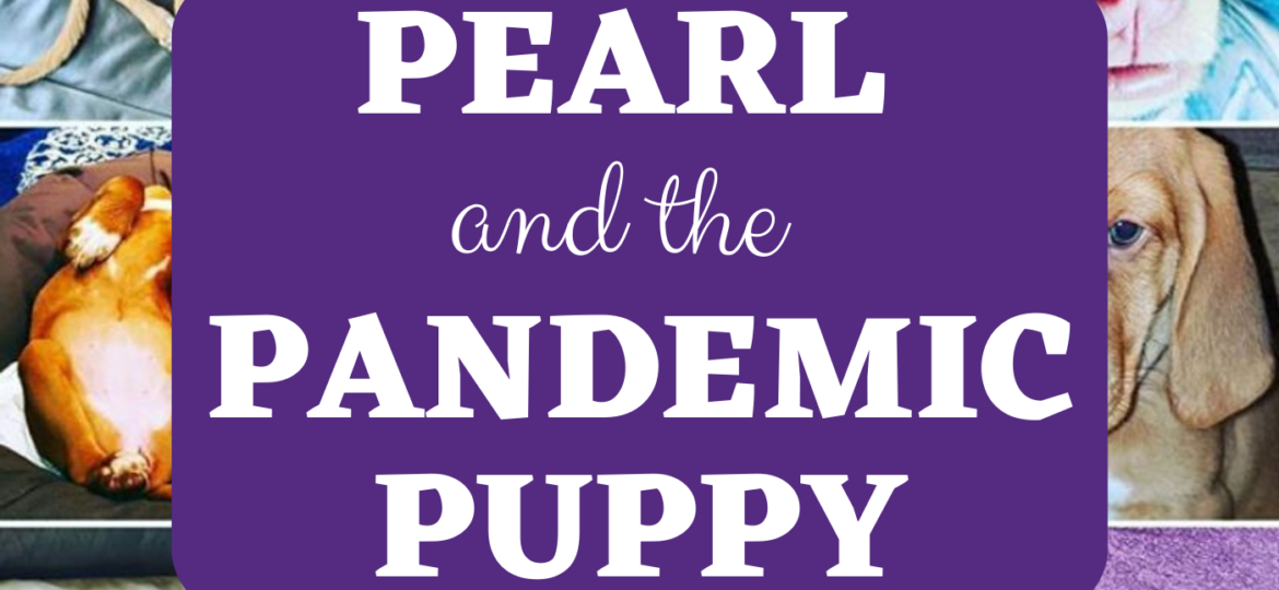 Pearl And The Pandemic Puppy