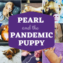 Pearl And The Pandemic Puppy