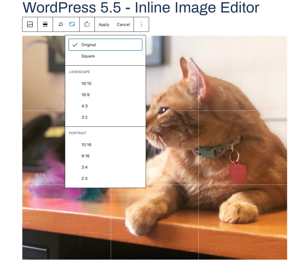 Wordpress inline image editor preview