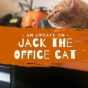 Update On Jack