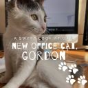 Gordon Feature