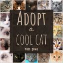 Adop A Cool Cat