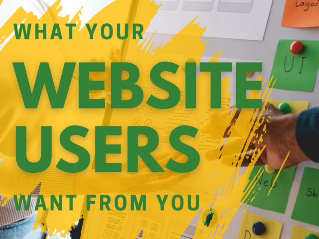 What Website Users Want Feature